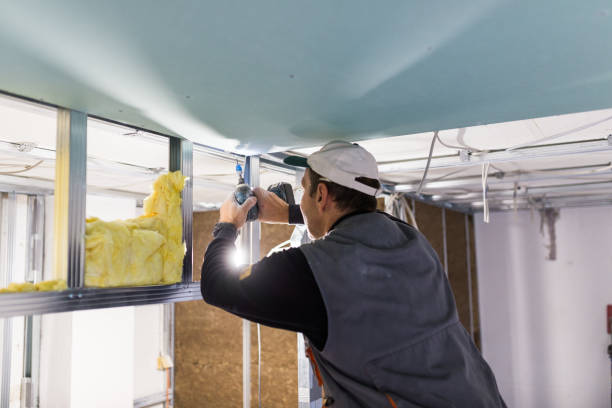 Types of Insulation We Offer in Lake Fenton, MI