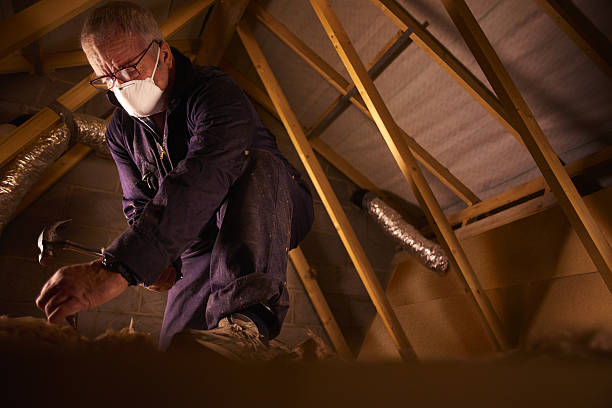 Best Commercial Insulation in Lake Fenton, MI