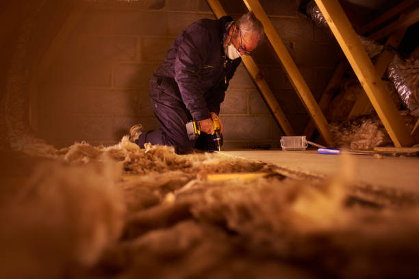 Best Fiberglass Insulation in Lake Fenton, MI