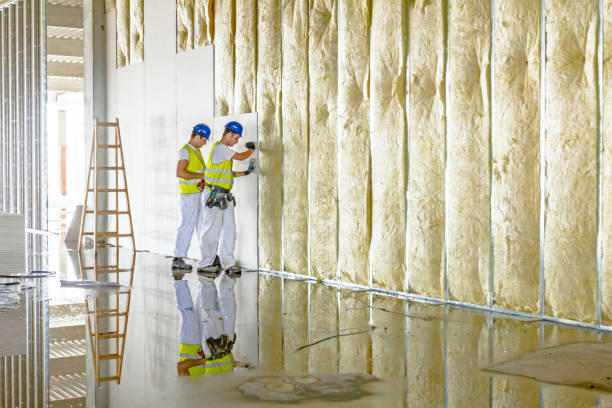 Best Cellulose Insulation in Lake Fenton, MI